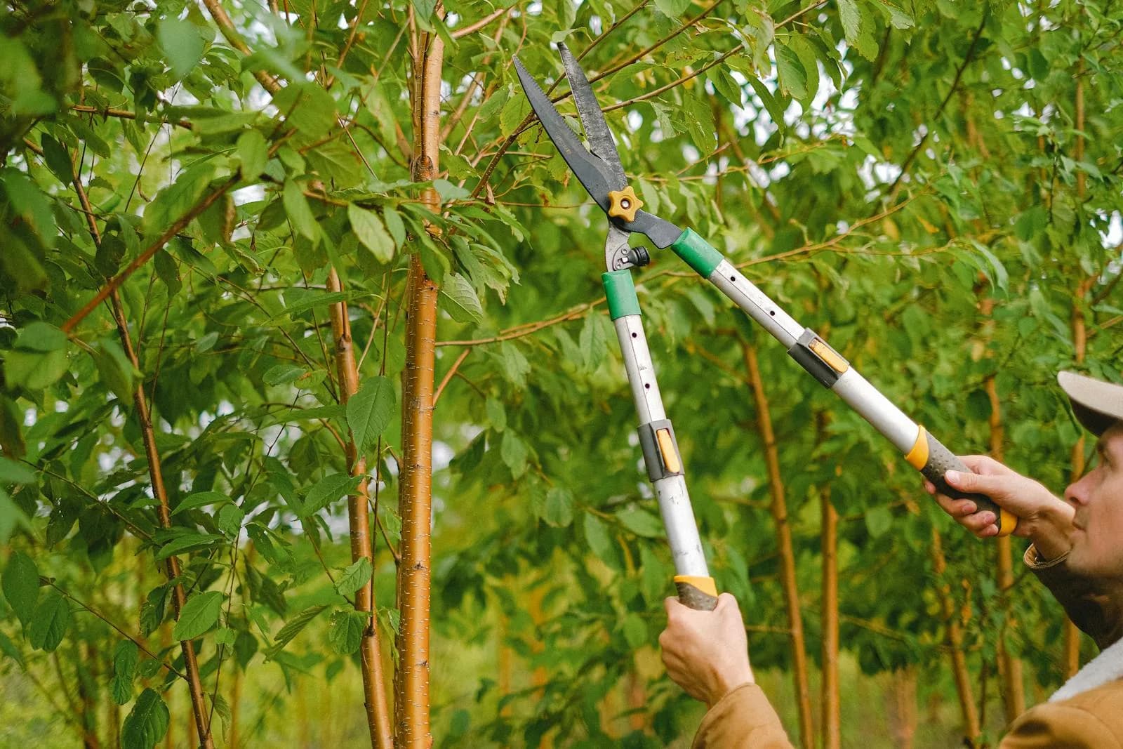 Tree Service & Lawn Care Business Funding